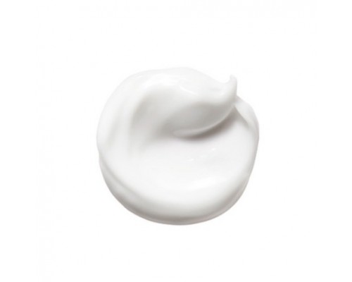 Professional Deep Moisturizer Cell Fusion C Aquaporin Cream 60 ml