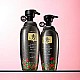 Шампунь против выпадения волос - Daeng Gi Meo Ri Dlae Soo Anti-Hair Loss Shampoo